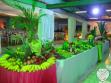 BAILE DO HAWAII  2011
