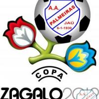 CAMPÃO - 2012 / Copa : ZAGALO