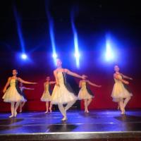 Festival de Dança e Ballet ( O Circo )