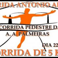 1ª Corrida Pedestre da A.A. Palmeiras 5 KM