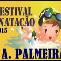 Festival de Natação - 2015